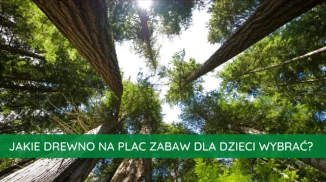 Jakie drewno na plac zabaw wybrać, aby zapewnić bezpieczeństwo? Jakie drewno na plac zabaw wybrać, aby zapewnić bezpieczeństwo?